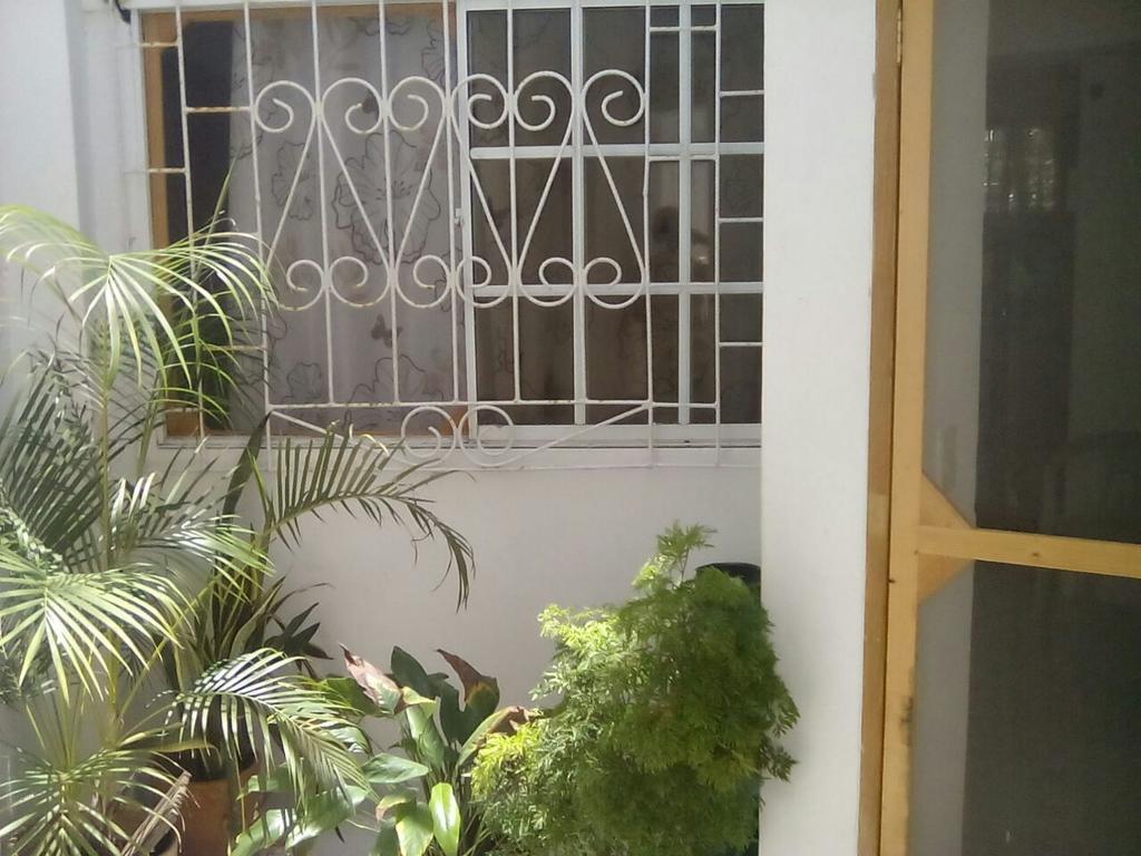 Bight View Hotel San Andrés Eksteriør billede